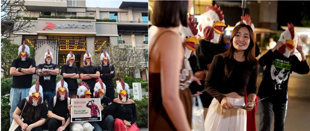 Animal Activists Take to the Streets to Call for Cage?Free Eggs Across Asia