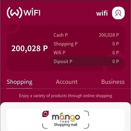 Wifi coin что это