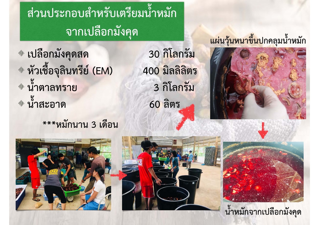 วว. นำ วทน. ยกระดับเศรษฐกิจฐานรากจังหวัดชุมพร อบรมการผลิตน้ำหมักเปลือกมังคุด/จัดการโรครากเน่าโคนเน่าในทุเรียน