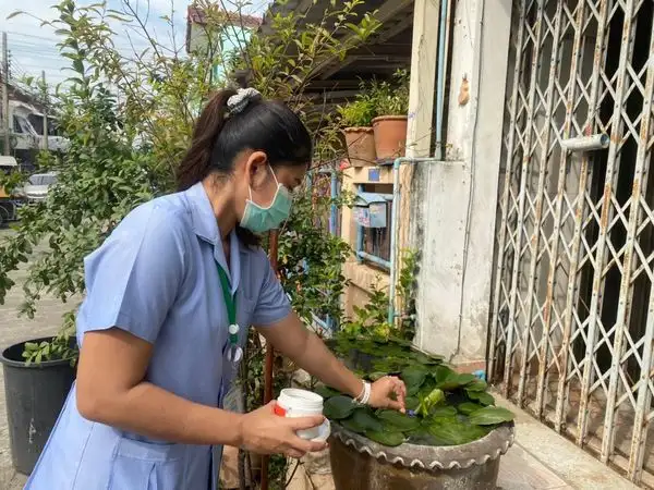 กทม.เฝ้าระวังป้องกันโรคไข้เลือดออก ใช้กลไก อสส.ช่วยกำจัดแหล่งเพาะยุงลายในชุมชน