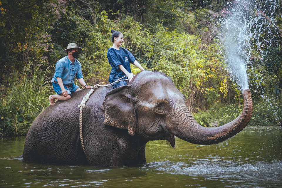 อ.อ.ป. ชวนเที่ยว 'ศูนย์อนุรักษ์ช้างไทย จ.ลำปาง' | RYT9