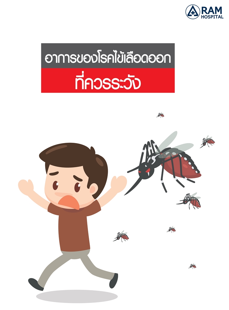 Dengue Fever: Symptoms, Transmission, and Prevention