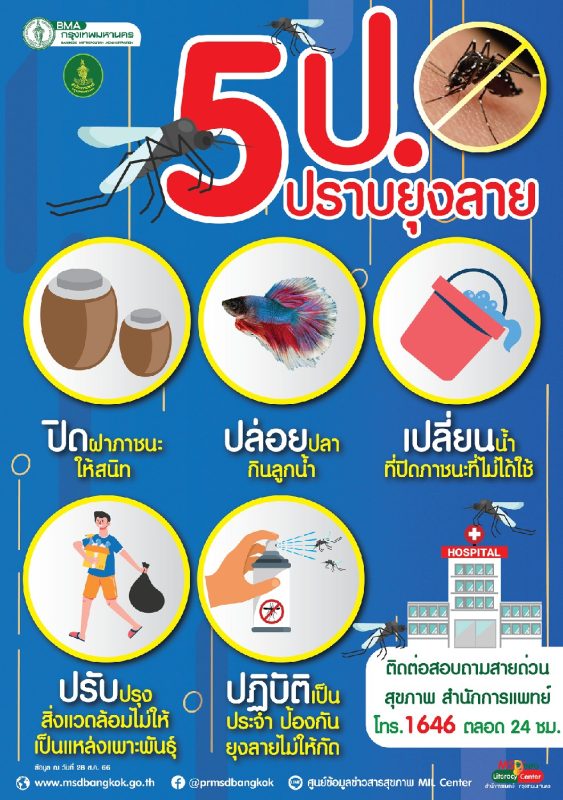 Proactive Measures to Prevent Zika Virus, Dengue Fever, and Chikungunya in Bangkok: Director of Medical Office Speaks Out