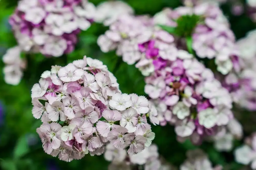 นิทรรศการ