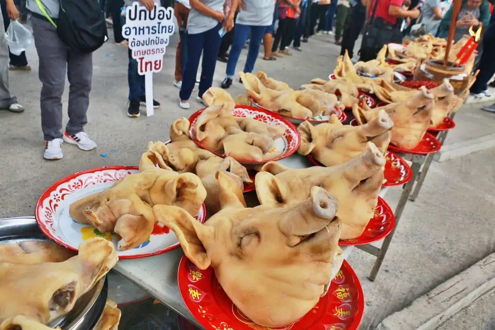 ผู้เลี้ยงหมูบุกคลัง ค้านนำเข้าเครื่องในหมูสหรัฐ ห่วงกระทบห่วงโซ่การผลิต-สุขภาพคนไทย