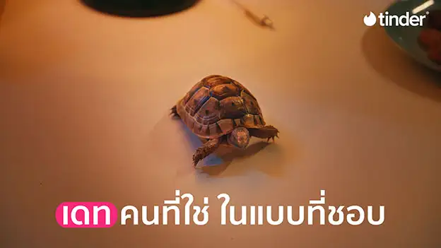 Tinder: ผู้หญิงยุคใหม่ขอเป็นฝ่ายคุมเกม พร้อมนิยามบรรทัดฐานการเดทใหม่