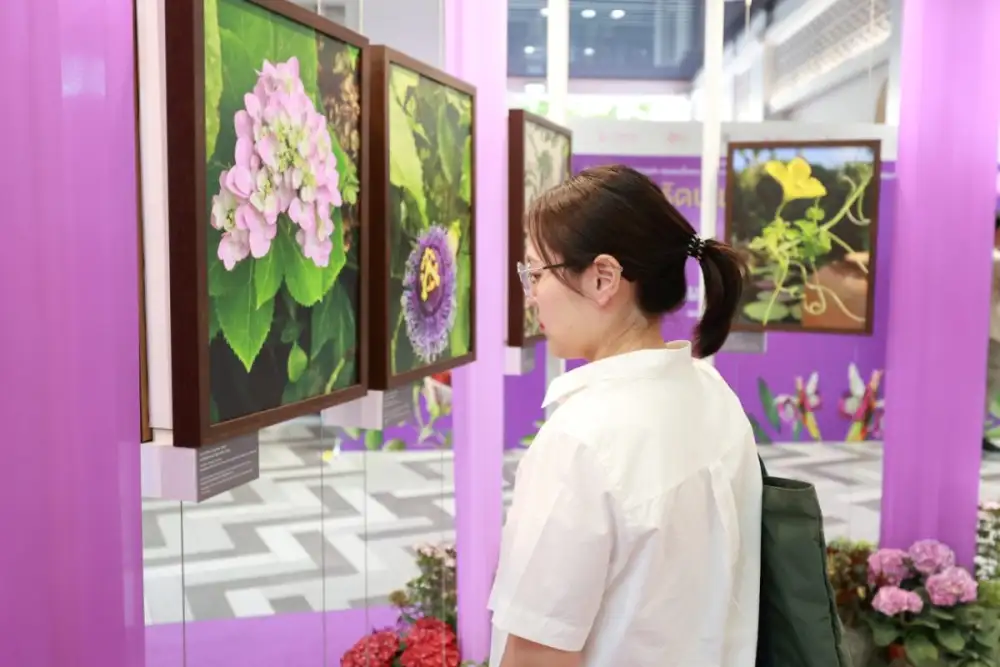 นิทรรศการ