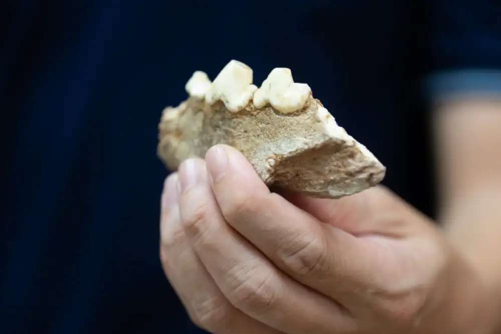 อาจารย์คณะวิทยาศาสตร์ จุฬาฯ ค้นพบหลักฐานใหม่ในถ้ำกระบี่ บ่งชี้การกระจายตัวของ