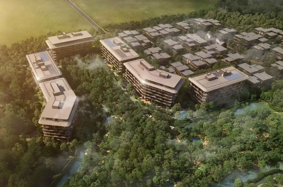 MQDC แต่งตั้ง