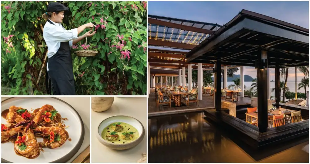 เชฟนกและแรงบันดาลใจในการทำอาหาร ณ ห้องอาหารแธมารินด์ ภูเก็ต