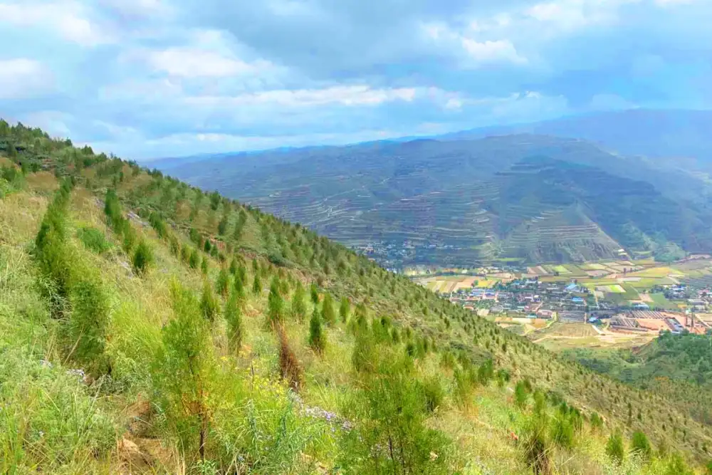 วัตสันร่วมมือกับลูกค้าลดคาร์บอน 4,000 ตัน สู้ภาวะโลกร้อน