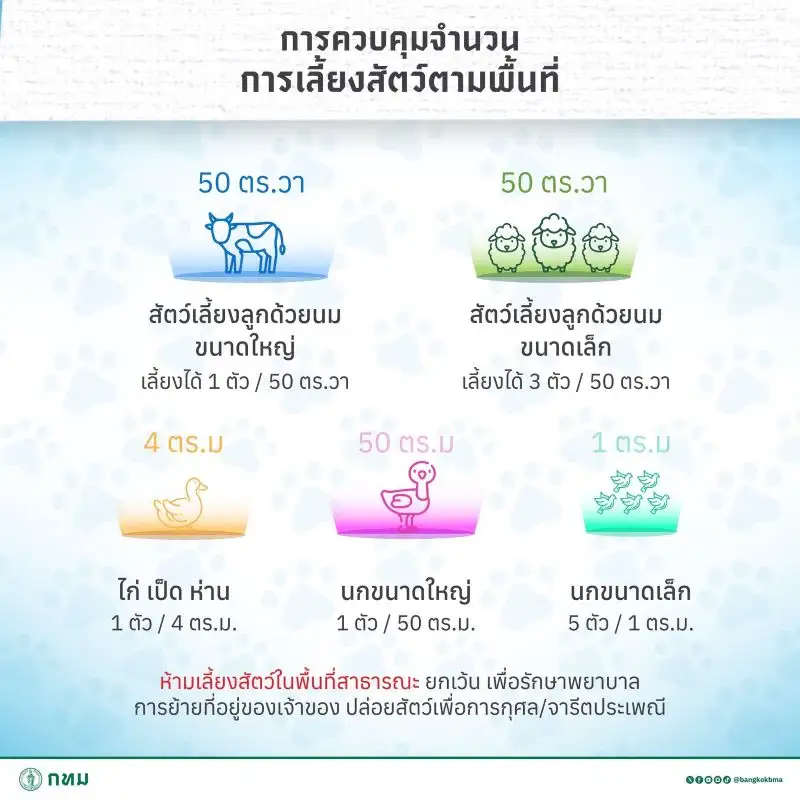 ทาสหมา-แมว ต้องรู้! กทม.สั่งขึ้นทะเบียนสัตว์เลี้ยง-จำกัดจำนวนตามพื้นที่ มีผลปี 69