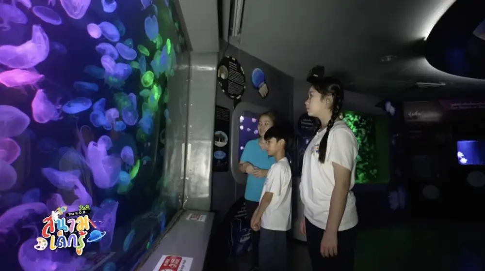 ตะลุยโลกกว้างกับแก๊งกบน้อยแสนซน ในรายการ